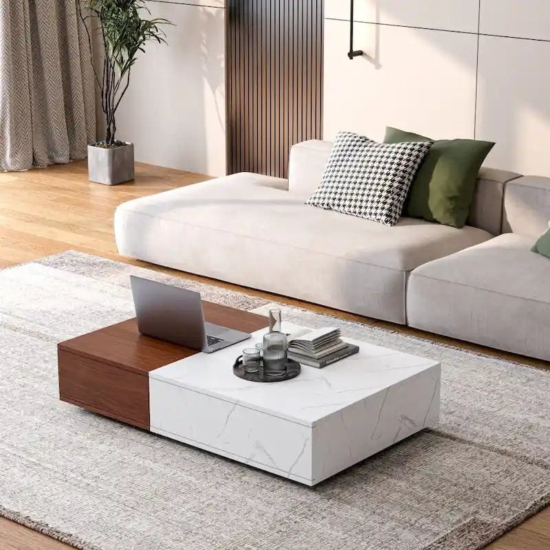 Table basse moderne avec deux espaces de rangement
