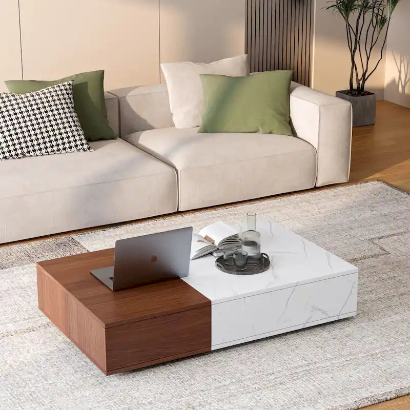 Table basse moderne avec deux espaces de rangement