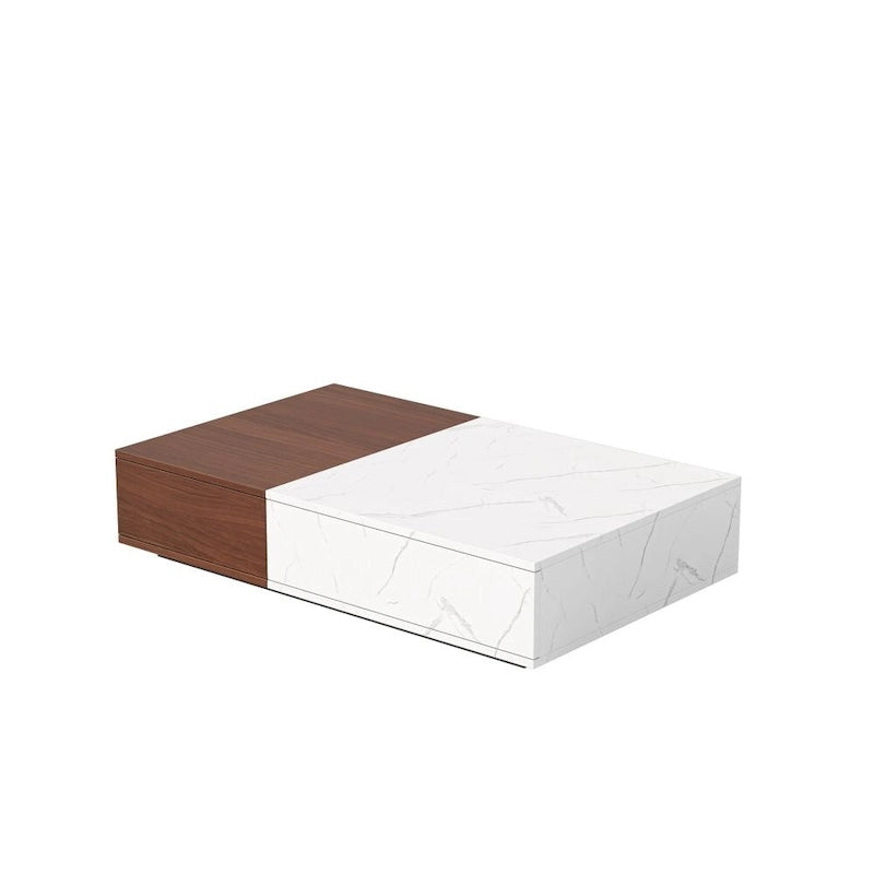 Table basse moderne avec deux espaces de rangement