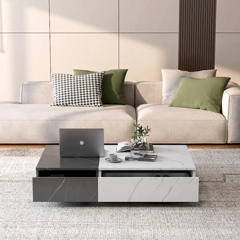 Table basse moderne avec deux espaces de rangement